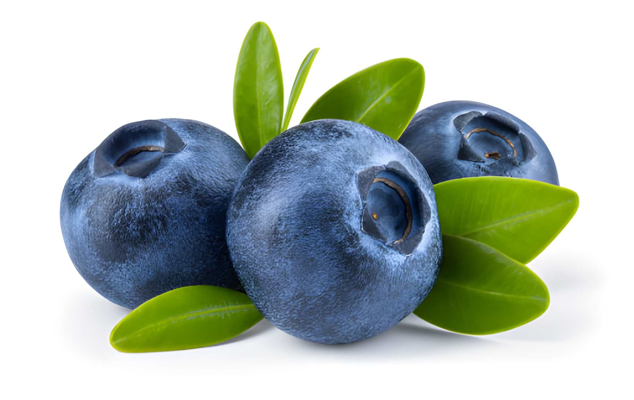 Blueberries