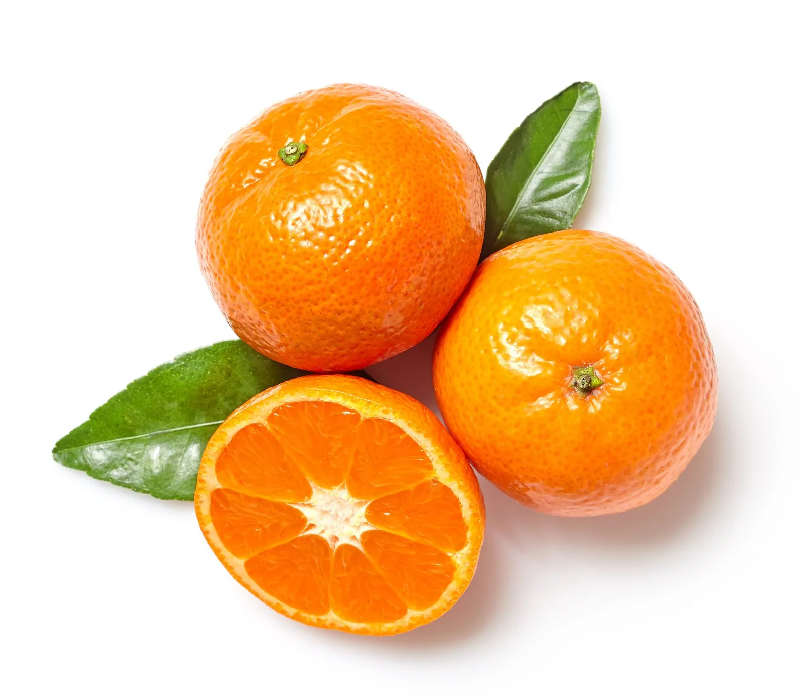 Citrus