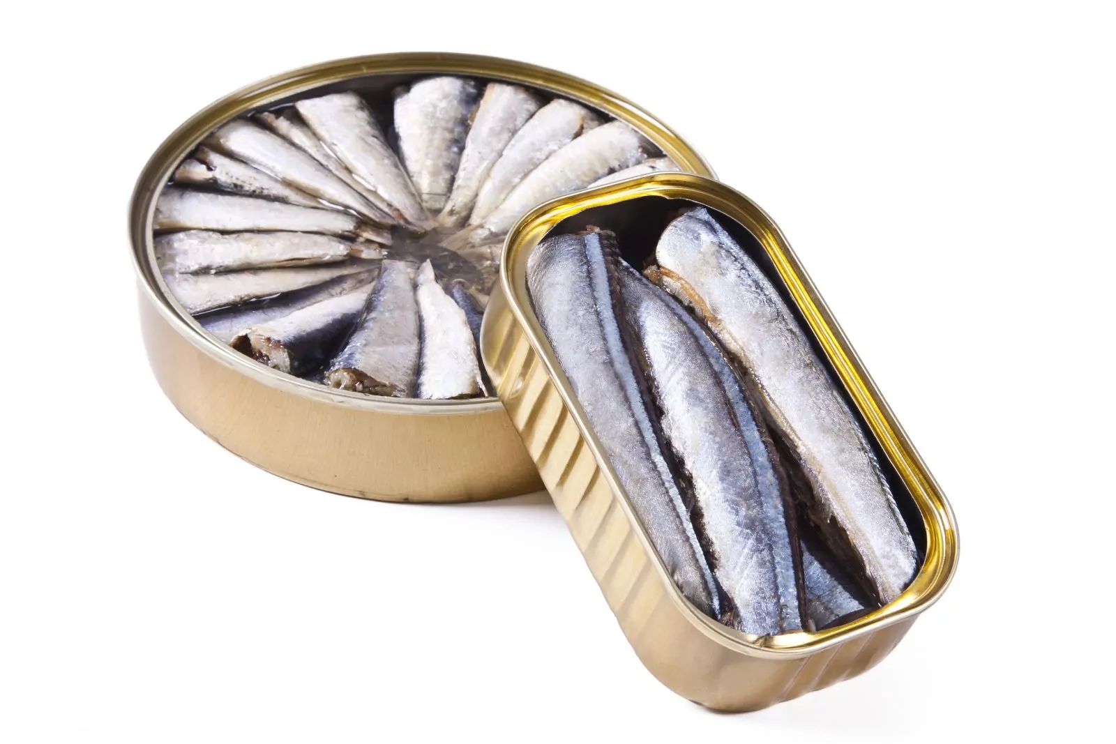 Canned Sardines