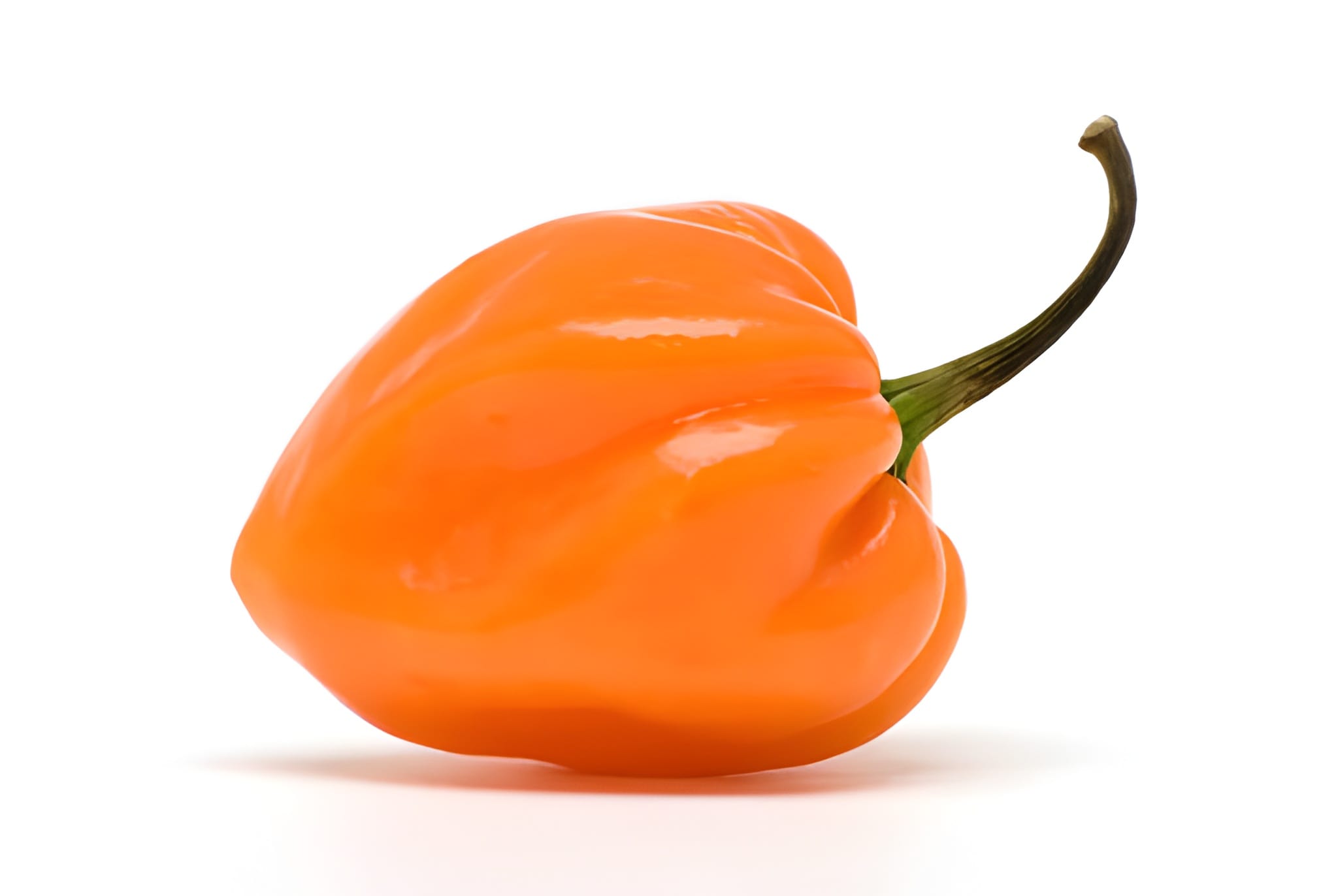 Habanero