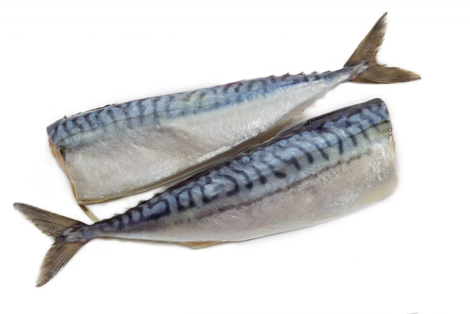 Frozen Mackerel