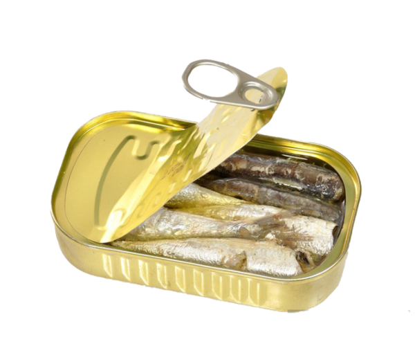 sardine-1