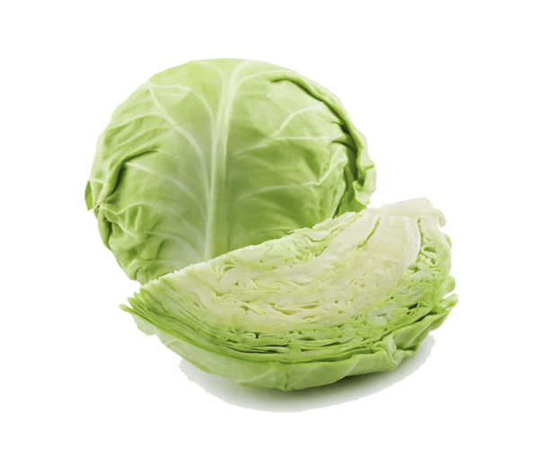 cabbage