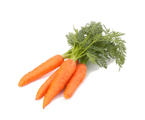 carrot